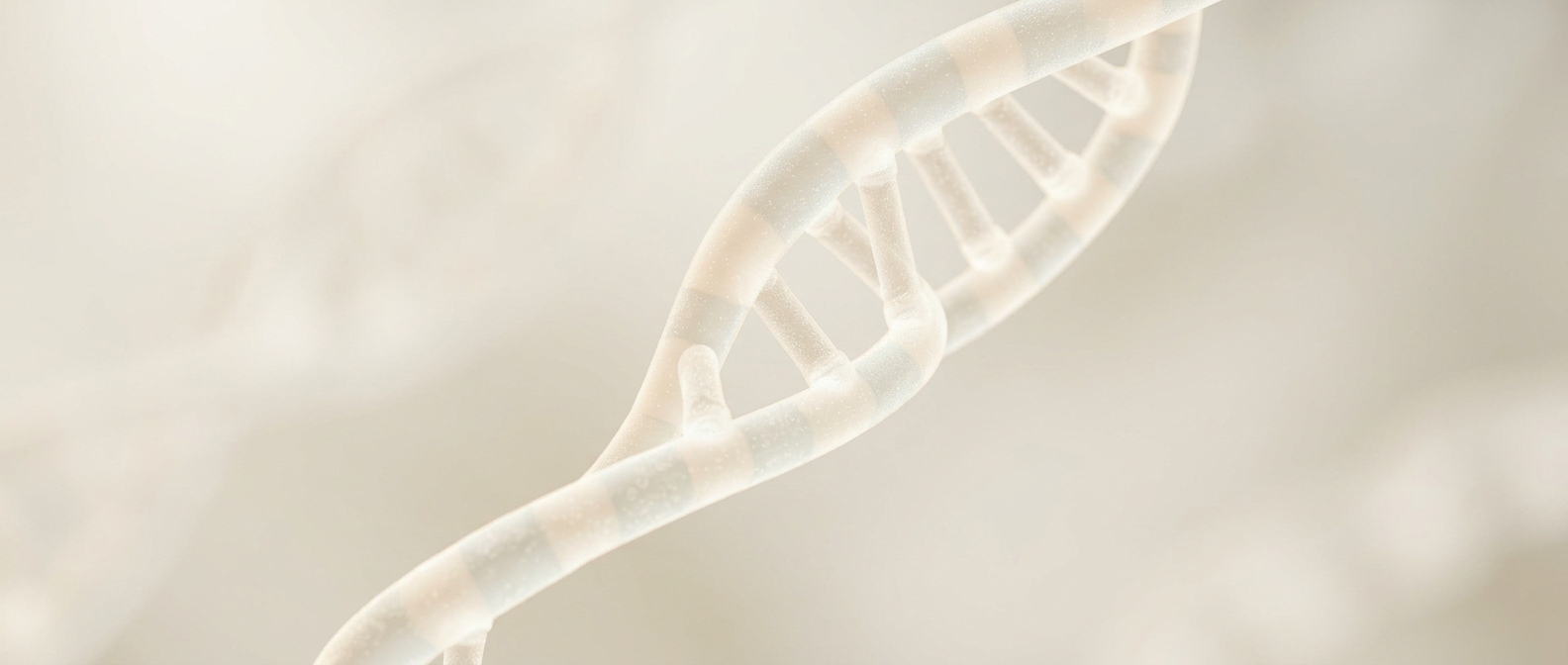 Soft ivory DNA helix